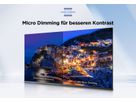 75P655 - 75 Zoll 4K UHD SmartTV,GoogleTV, WCG