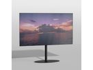 TV-Ständer ELLIPS Stahl Schwarz - Höhe 100 cm
