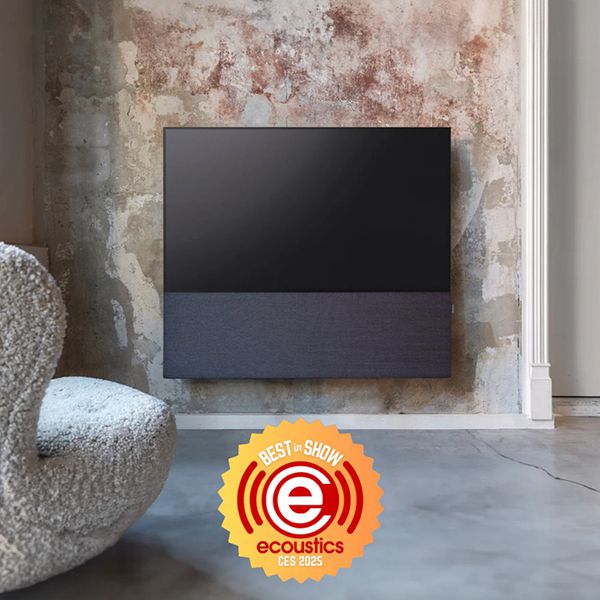 Best in Show - CANVAS an der CES 2025