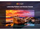 75P655 - 75 Zoll 4K UHD SmartTV,GoogleTV, WCG