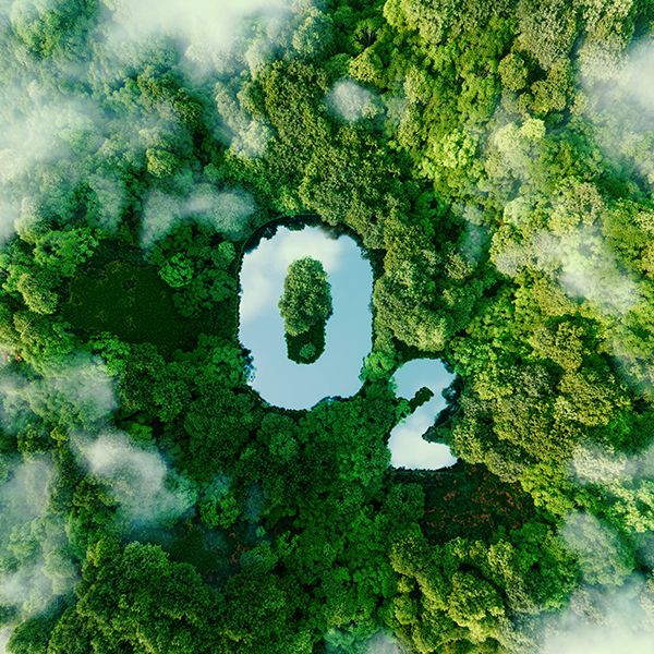 Vogelperspektive von einem grünen Wald mit der Schrift O2 in Wasserform als Zeichen von grüner Zukunft
