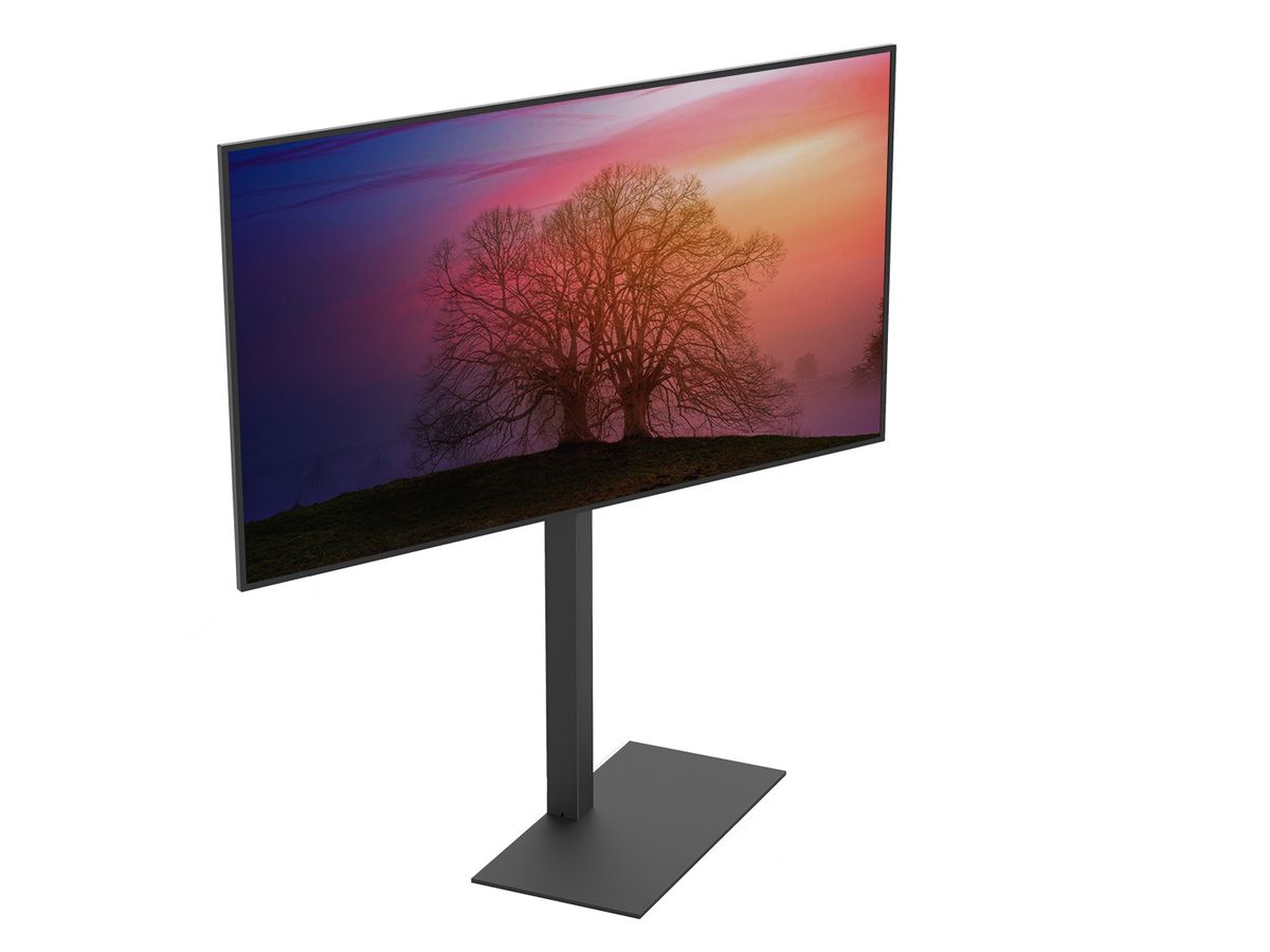 CAV-FS100 - TV-Ständer FS100 Basic (37 - 65")