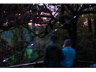 Solar String 18 Color - String Lights, Solar, 5m